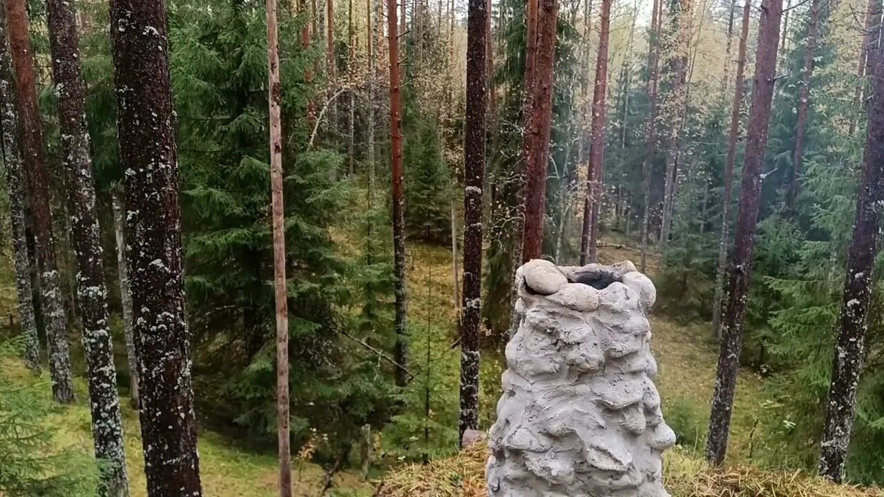 Earth shelter. I found a dungeon in the woods.20