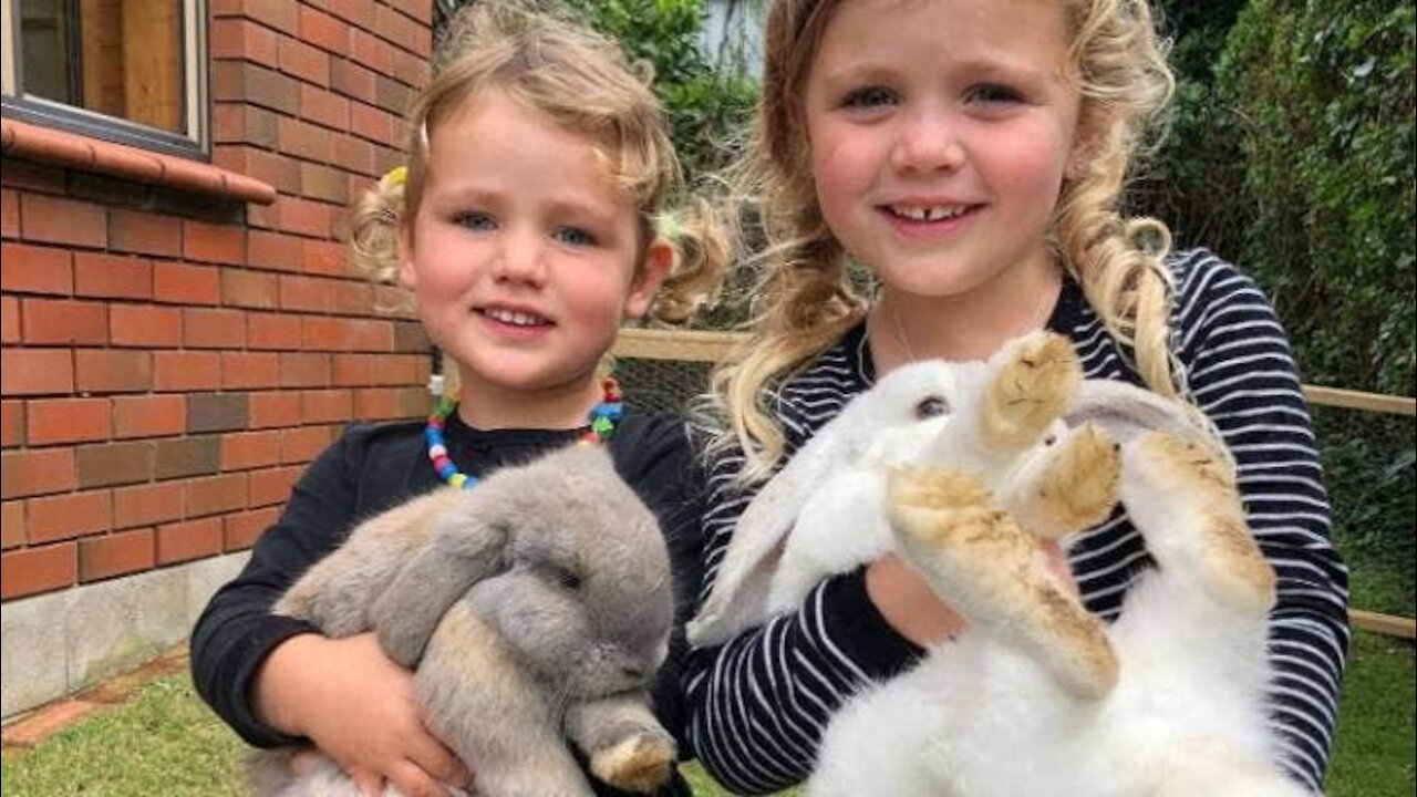 She asks her dad to buy a new pet. Dad brings a rabbit