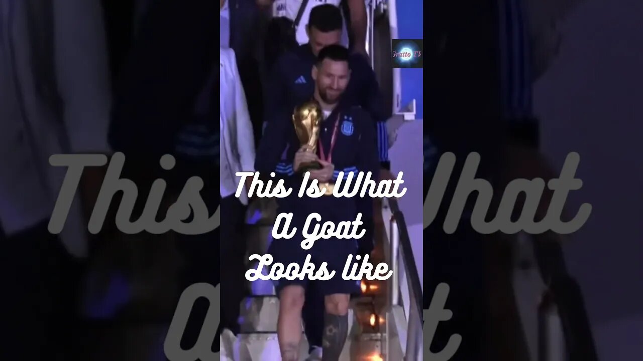 #shorts Messi and Argentina Football Team Arrived at Airport and It Was Epic