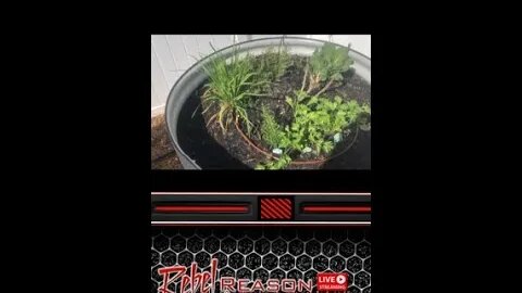 2023 Garden Day 6