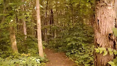 Sundayscape : Myeerah Nature Preserve