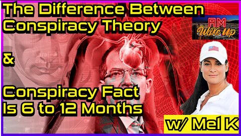 The Difference Between Conspiracy Theory & Conspiracy Fact is 6-12 Months w/ Mel K