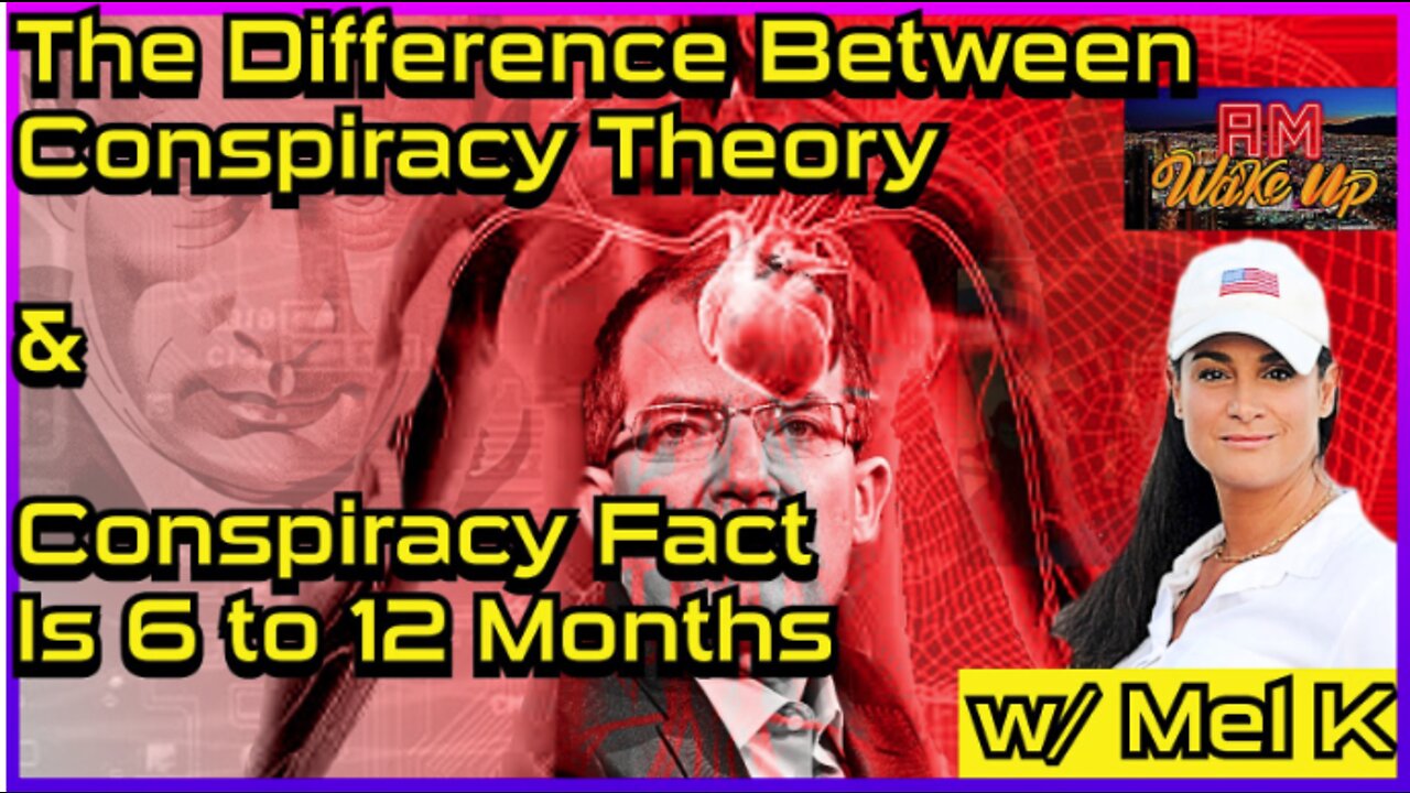 The Difference Between Conspiracy Theory & Conspiracy Fact is 6-12 Months w/ Mel K