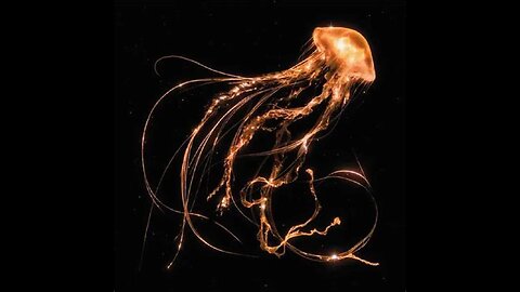 Back to the Water Below - Royal Blood - Crítica