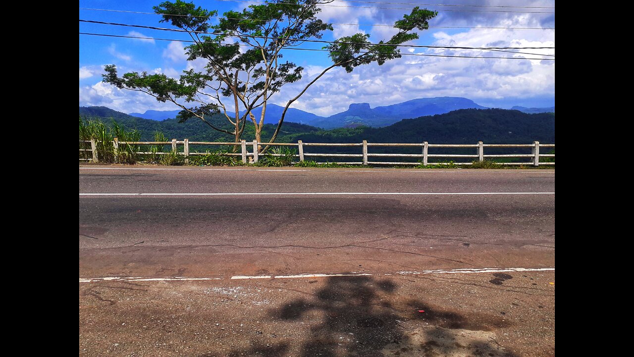 Free life with beautiful nature.