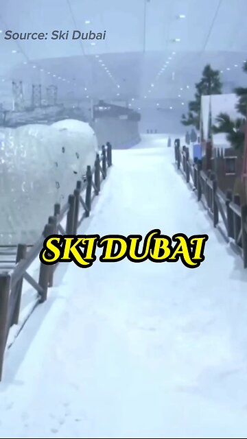 A Winter Oasis ❄️