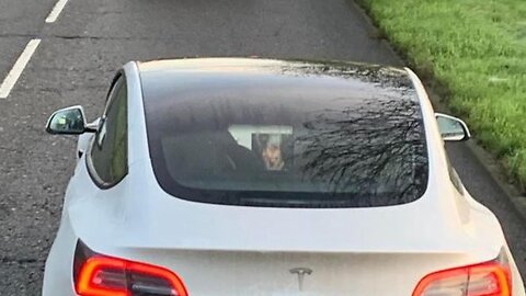 TESLA WEAPONIZED CAR STALKING ME FROM BEHIND.