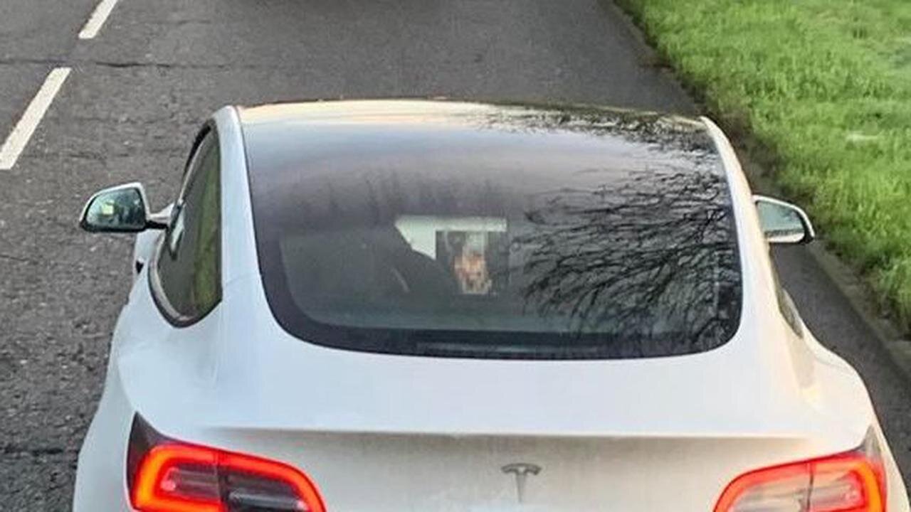 TESLA WEAPONIZED CAR STALKING ME FROM BEHIND.