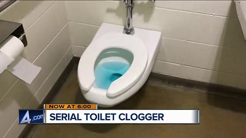 Sheboygan Police looking for 'serial toilet clogger'