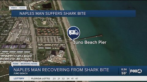 Naples man recovers from shark bite