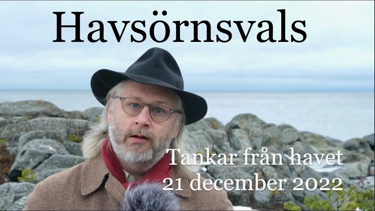 Havsörnsvals - Tankar från havet 21 december 2022