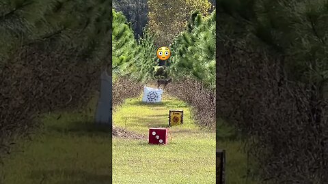 These 3D targets are getting real nowadays!