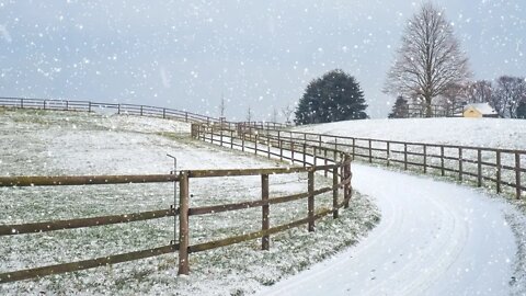 Relaxing Music with Snow Falling for Sleep and Relaxation