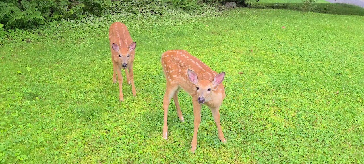 The twins aren't camera shy