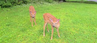 The twins aren't camera shy