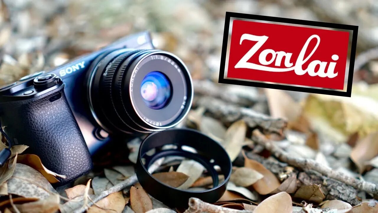 A Modern Retro Lens: The Zonlai 22mm F1.8