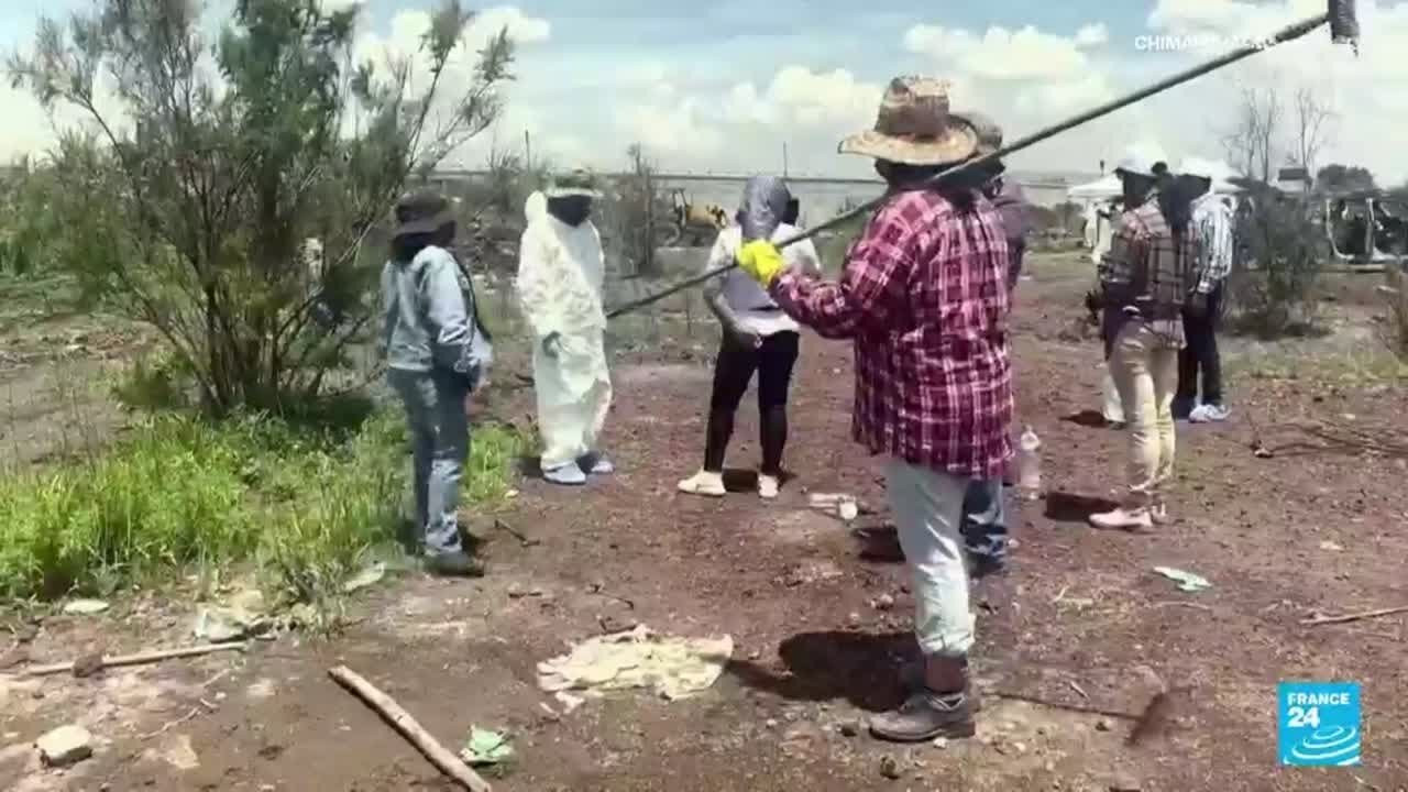 México: madres y madres de desaparecidos se organizan en grupos de búsqueda