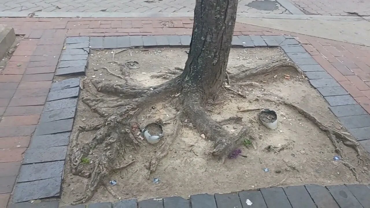 Mattapan Square has been neglected for more than 15 years