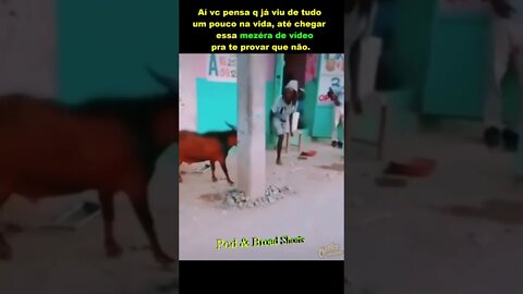 Quando você pensa que já viu de tudo um pouco...