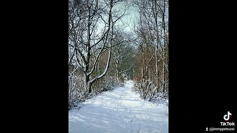 morning walk snow