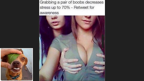 Memes That Will 99.888% Make You Laugh. (e113)