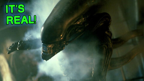 773. Alien Xenomorph Real! Full Mind-Blowing Story by Jimmy Paine