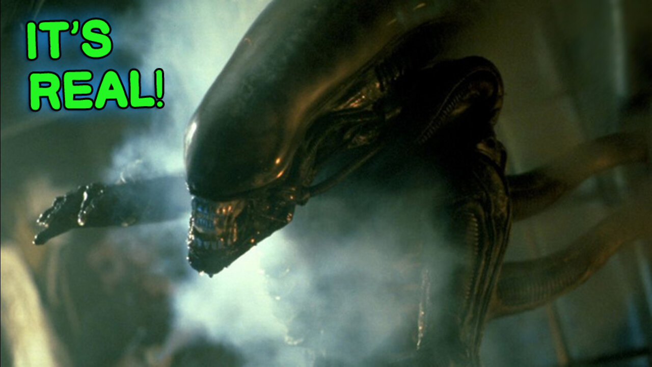 773. Alien Xenomorph Real! Full Mind-Blowing Story by Jimmy Paine