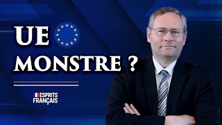 Gilles Lebreton | Union Européenne: Monstre ?