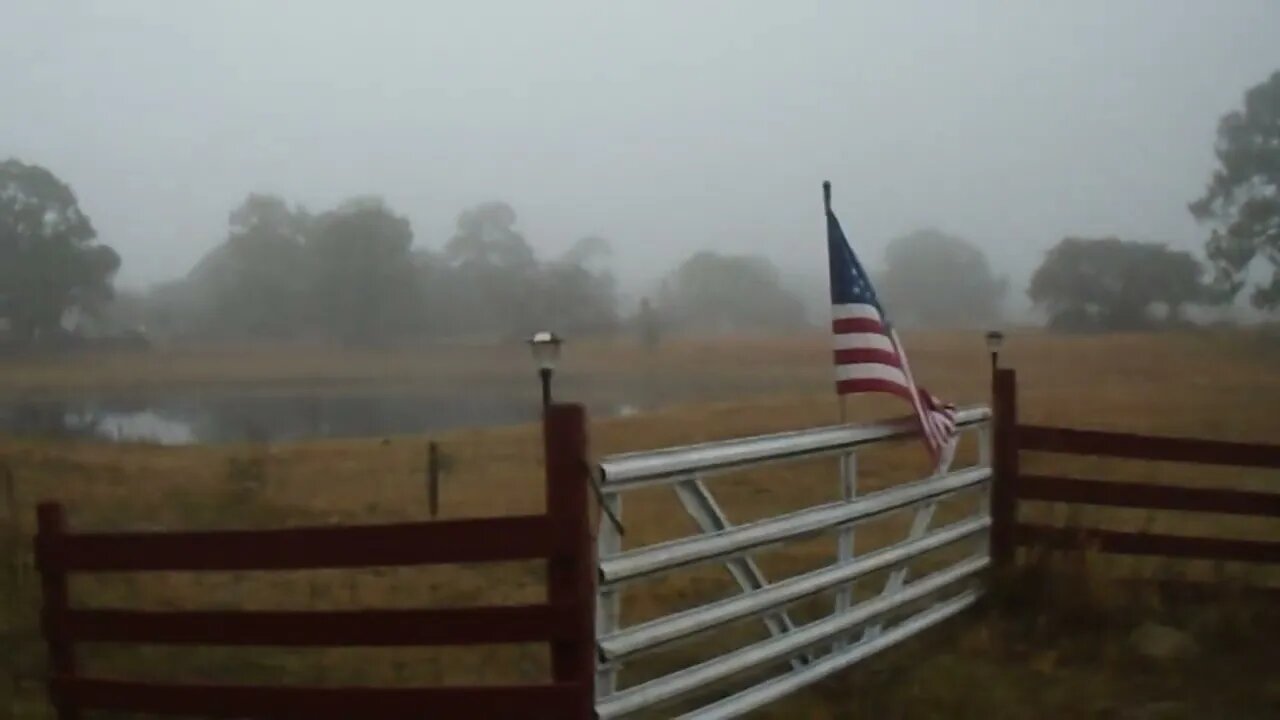 Venus Ranch 2/11/22 #1