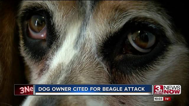 Humane Society cites woman whose dog mauled beagle