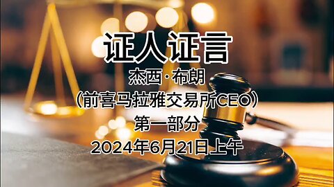 证人证言 EP51｜2024年6月21日上午 郭先生庭审 检方第27位证人- 杰西·布朗（前喜马拉雅交易所CEO）第一部分（AI中文朗读 字幕仅供参考）