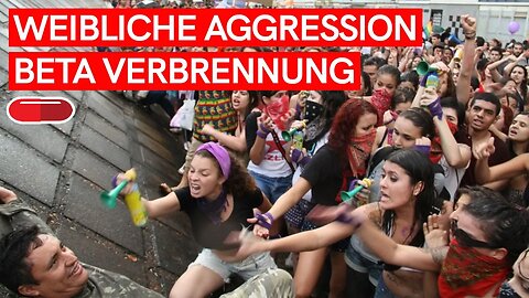 20 STUDIEN OFFENBAREN BETA VERBRENNUNG und wichtige Dynamiken WEIBLICHER AGGRESSION!