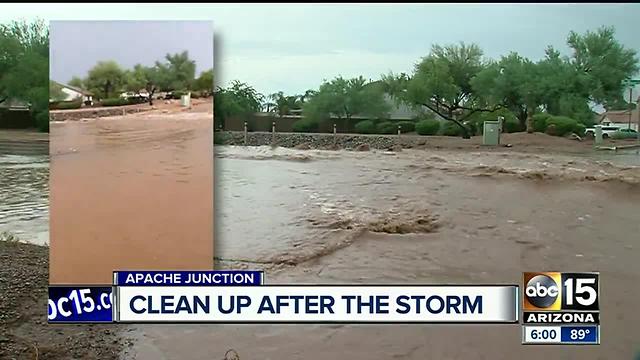 Storm packed a punch, leaving path of destruction