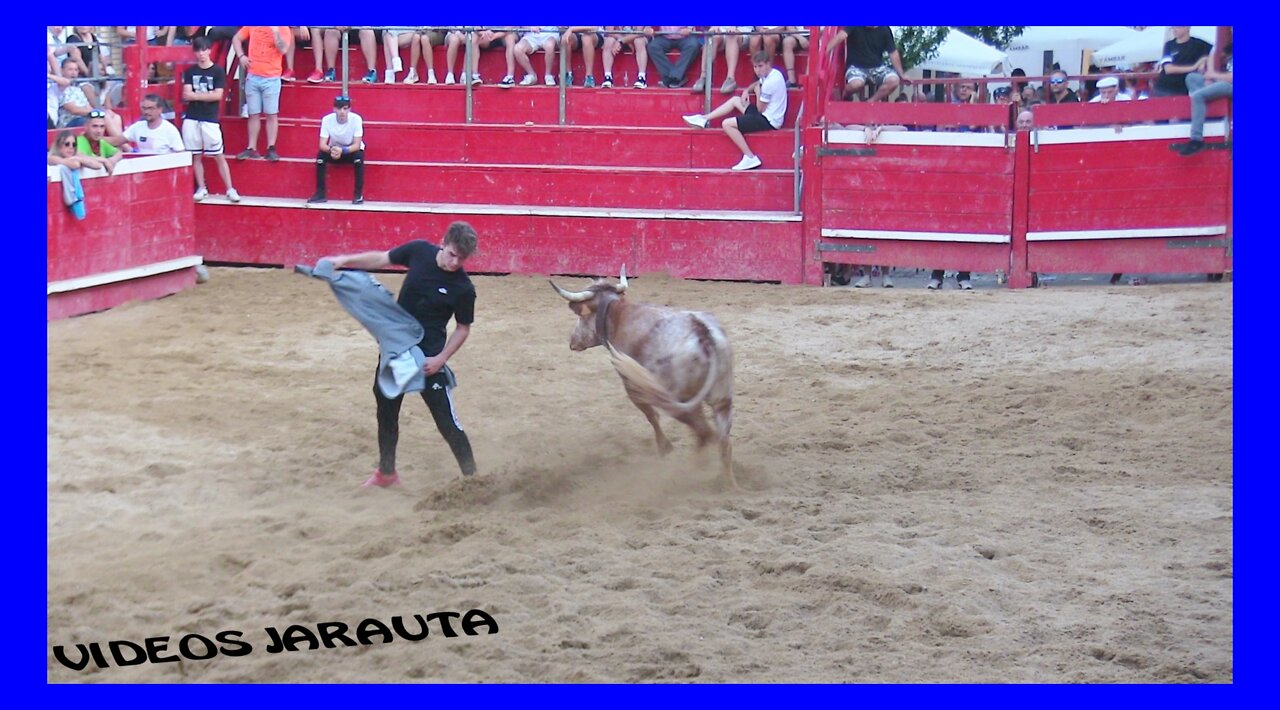 NOVALLAS ( ZARAGOZA ) TARDE VACAS PLAZA ( SABADO 2 JULIO 2022 ) EULOGIO MATEO