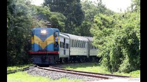 train