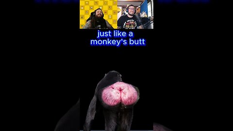 Monikey Butt #reaction #reactionvideo #reactionshorts #fypシ #playstation #playstation5 #qrcode #fyp
