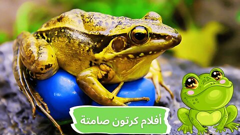 مواجهة بين الضفدع المضحك و ثعبان البحر 🐍🐸 أفلام كرتون صامتة ـ رسوم متحركة ـ حرب المطبخ