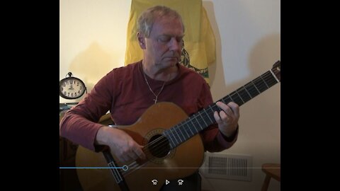Guitar Fuck Joe Biden