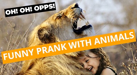Troll Prank Dog Funny fake Lion and Fake Tiger Prank To dog Huge Box Prank to dog