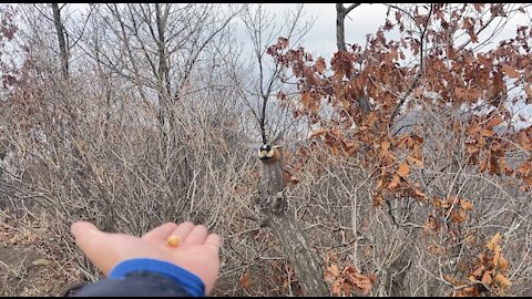 A cute bird eating my snack.