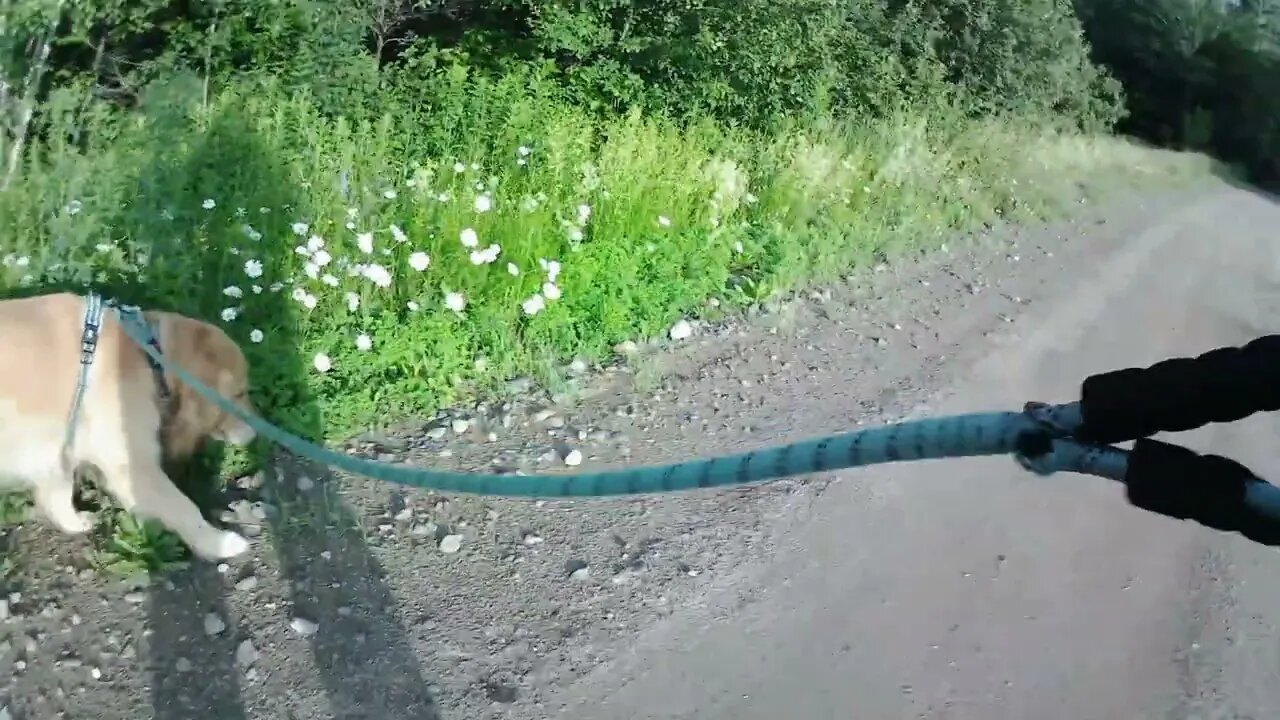 July 4rh, 64 degrees Flynn and I get into Prentiss.