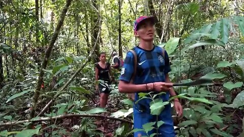 Borneo % Death % Blow Full Documentary