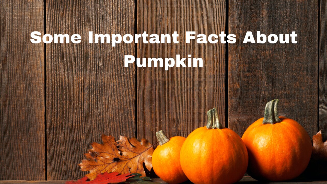 Some important facts about pumpkin