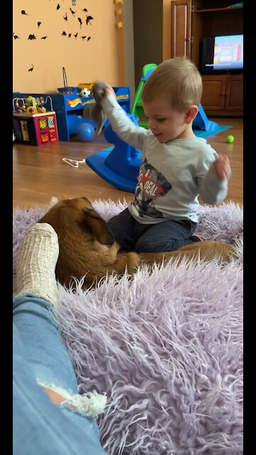Toddler and Doggo are the best of friends