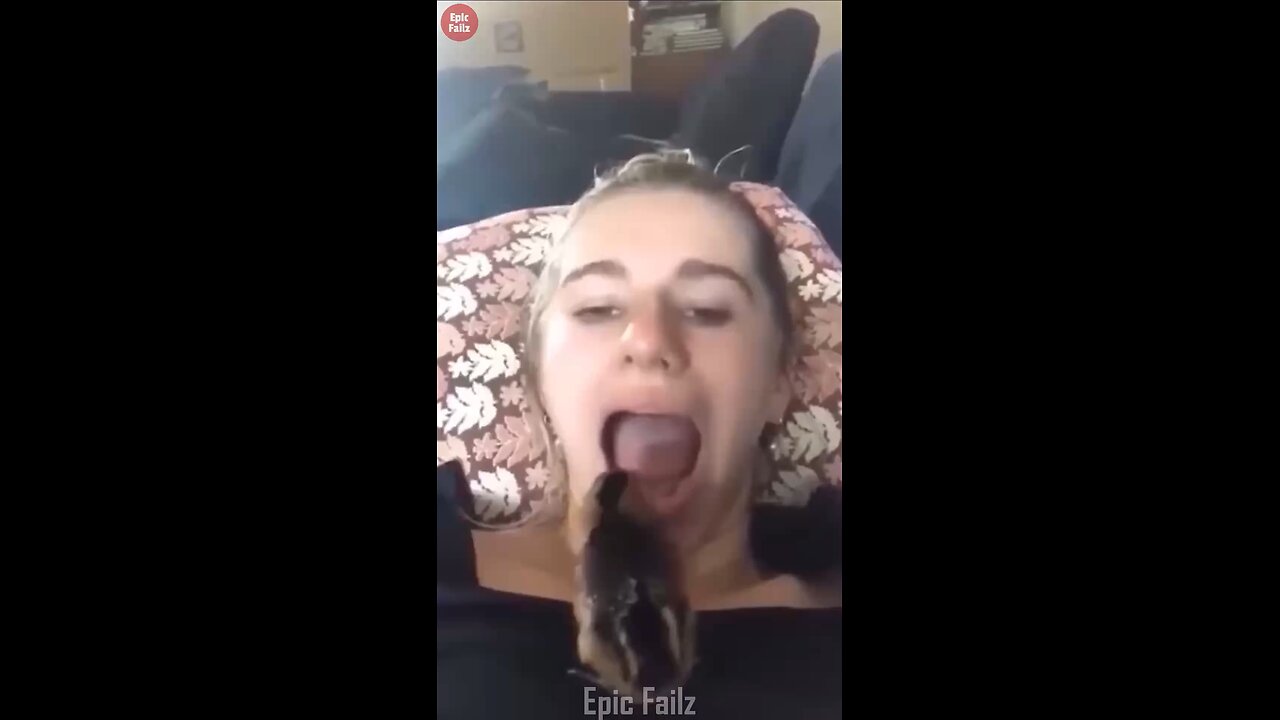 Funny videos