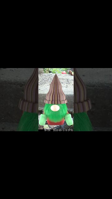 Weird Gnomes Visit #Shorts 😬