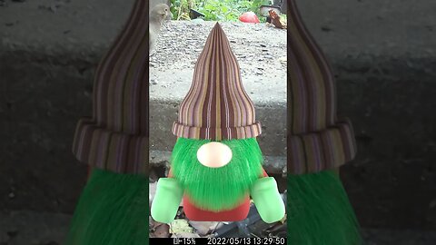 Weird Gnomes Visit #Shorts 😬
