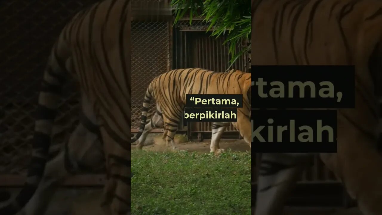 KATA KATA BIJAK MOTIVASI HIDUP #shorts #short #shortsvideo #motivation #contentcreator