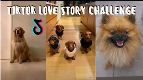 Tik Tok Love Story Challenge