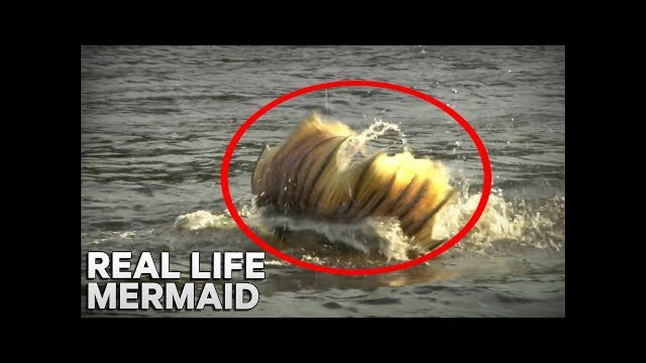 MERMAID Caught On CAMERA! - Zone on the Road